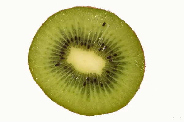 Studioaufnahme Einer Kiwi — Stockfoto