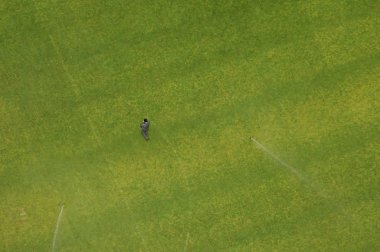 atıl, hiyerba yeşil yönetici