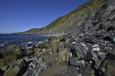 taşlar ile siyah kum görüntü
