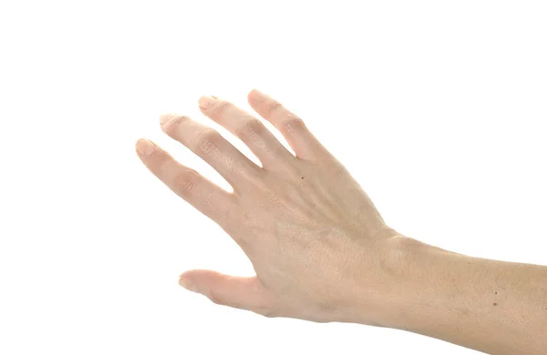 Bild Auf Weißem Hintergrund Von Verschiedenen Positionen Einer Hand — Stockfoto