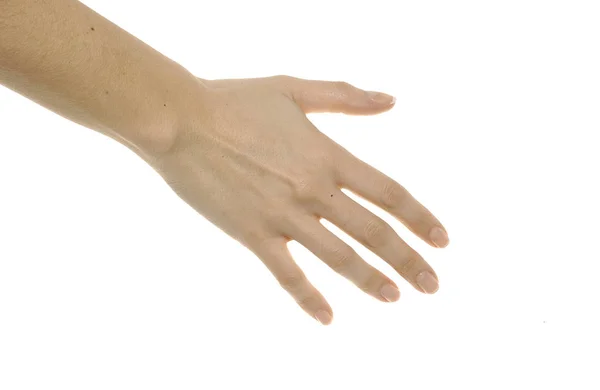 手の異なる位置の白い背景に画像 — ストック写真
