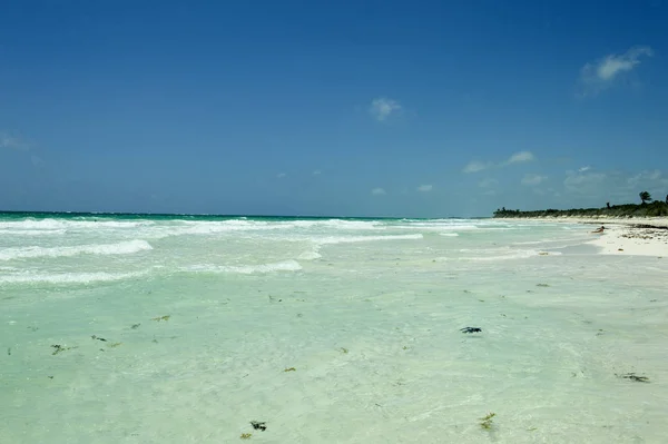 Image Caribbean Beach — Stock Photo, Image