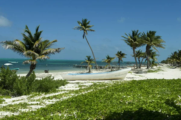 Immagine Una Spiaggia Caraibi — Foto Stock