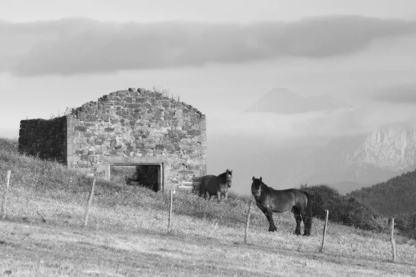 コルドバはビスカヤ バスクの中心 Txorierri の谷にある美しい村です — ストック写真