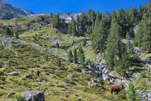Benasque Huesca スペイン 2017年8月22日 ポセット マラデタ自然公園はスペインの自然保護地域である ピレネー山脈の最高峰2つが含まれています — ストック写真