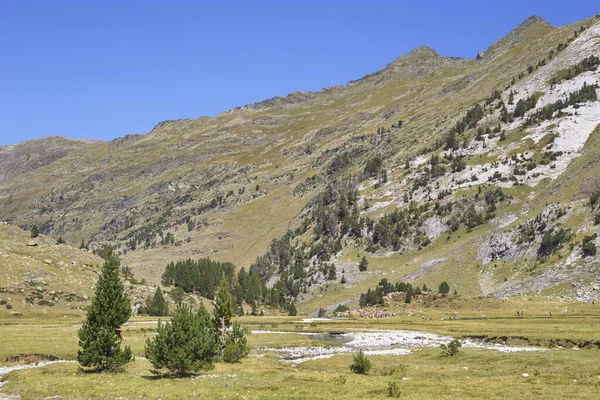 Benasque Huesca España Agosto 2017 Parque Natural Posets Maladeta Espacio —  Fotos de Stock