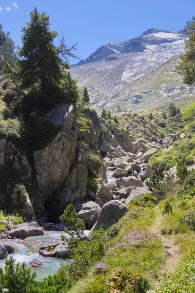 Benasque Huesca España Agosto 2017 Parque Natural Posets Maladeta Espacio —  Fotos de Stock