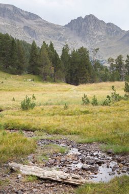 Benasque, Huesca / İspanya; 22 Ağustos 2017. Posets-Maladeta Doğal Parkı bir İspanyol doğal alanıdır. Pireneler 'deki en yüksek iki dağ zirvesini içerir..