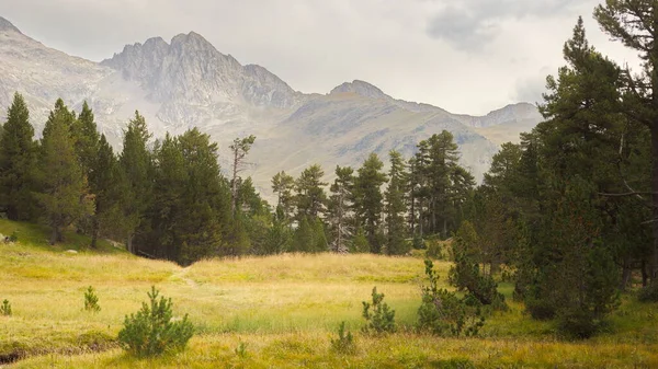 Benasque Huesca Spain Aug 2017 Posets Maladeta Natural Park Spanish — Stock Photo, Image