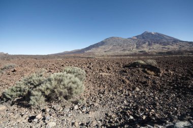 Teide Ulusal Parkı, Gran Canaria / İspanya; Ekim 2011. Ulusal parkın volkanik manzarası