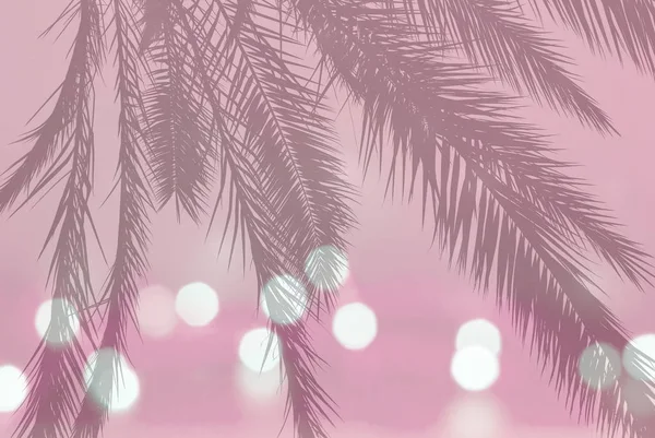 Palmblatt Silhouette Auf Festlich Verschwommenem Licht Auf Sanftem Rosa Vintage — Stockfoto