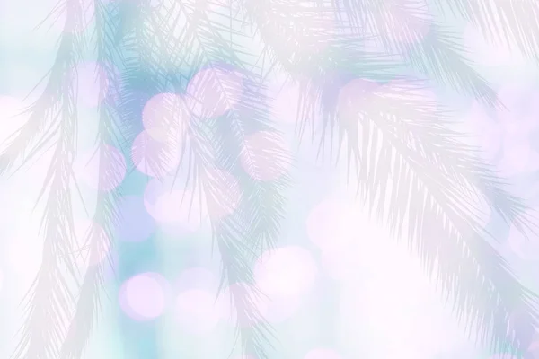 模糊灯光下的棕榈剪影柔和的粉红色绿色粉彩彩色背景散景纹理 — 图库照片