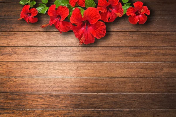 Rode Hibiscus Bloem Gebreeuwd Mahonie Houten Achtergrond Textuur Closeup — Stockfoto