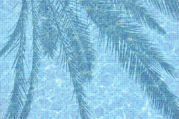 Turquesa Azul Piscina Agua Superficie Palmera Verano Resort Estado Ánimo —  Fotos de Stock