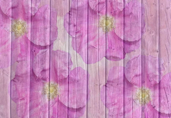 Abstrakt Rosa Bakgrund Rosa Blommor Trä Strandpromenaden Textur — Stockfoto