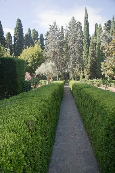 Valldemossa Mallorca Ilhas Baléricas Espanha Julho 2017 Jardins Mosteiro Cartujan — Fotografia de Stock