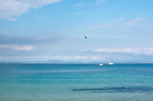 つの白い船とスペイン マヨルカ島のターコイズ ブルーの地中海自由気分上かもめ — ストック写真