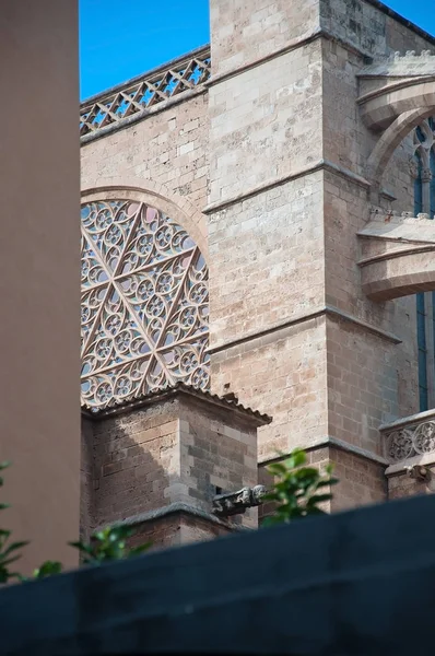 Seu Katedrála Gotické Architektonické Detaily Palma Mallorca Baleárské Ostrovy Španělsko — Stock fotografie