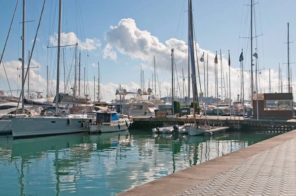 Palma Mallorca Španělsko Listopadu 2011 Luxusní Jachty Kotvící Podél Paseo — Stock fotografie