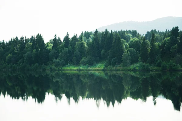 Paisagem Florestal Refletida Superfície Tranquila Lago Noruega — Fotografia de Stock