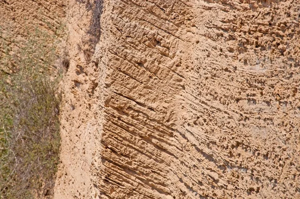 Porous Banded Limestone Rock Closeup Carnatge Mallorca Spain — Stock Photo, Image