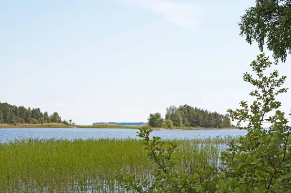 Захід Сонця Влітку Озеро Швеції Varmland — стокове фото