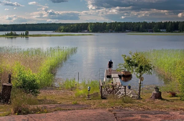 Verão Pôr Sol Junto Lago Varmland Suécia Canas Verdes — Fotografia de Stock