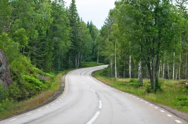 Curvy Asphelevroad Ahead Dark Green Summer Forest South Sweden July — стоковое фото