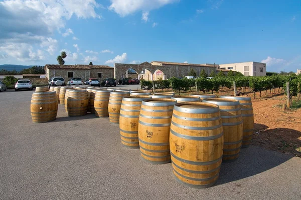 マヨルカ スペイン 2018 大規模なマシア戦外オークのワイン樽ワイン プロデューサー 2018 日にマヨルカ スペイン — ストック写真