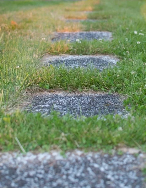 Stone Steps Green Grass Sunny Evening Sweden — Stock Photo, Image