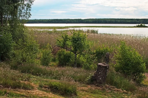 Tranquillo Tramonto Lago Con Nuvole Acque Tranquille Varmland Svezia — Foto Stock