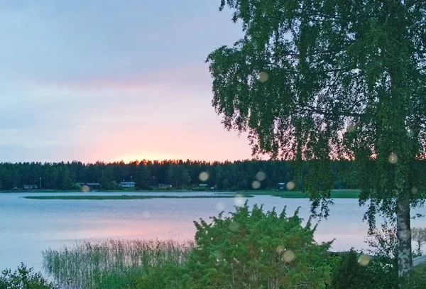 在瑞典 Varmland 平静的水中 一湖与白桦树和天空反射和平的粉红色日落 — 图库照片