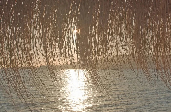 Силуэты Заката Блестящей Водой Через Пляжные Соломенные Зонтики Пальма Майорка — стоковое фото