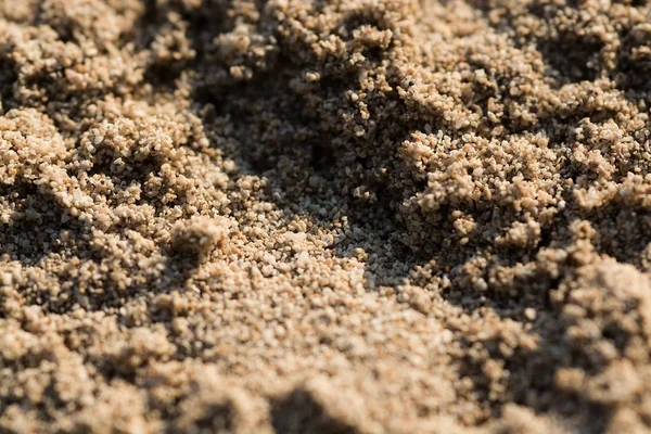 太陽に照らされた砂浜穀物マクロ クローズ アップ背景テクスチャ — ストック写真