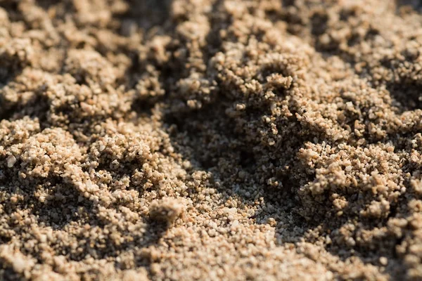 太陽に照らされた砂浜穀物マクロ クローズ アップ背景テクスチャ — ストック写真