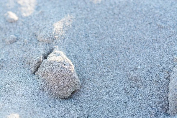 Napsütötte Homokos Strand Szemek Makró Vértes Háttér Textúra — Stock Fotó