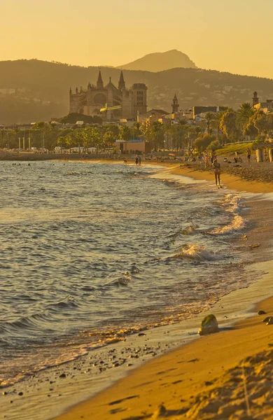 Mallorca Hiszpania Września 2018 Seu Katedrą Plaży Ludźmi Słoneczne Popołudnie — Zdjęcie stockowe