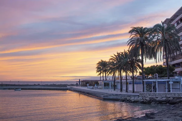 Mallorca Spain November 2018 Powdery Pink Winter Sunset Skies Palm — Stock Photo, Image