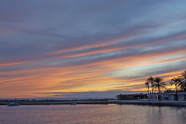 Mallorca Spain November 2018 Powdery Pink Winter Sunset Skies Palm — Stock Photo, Image