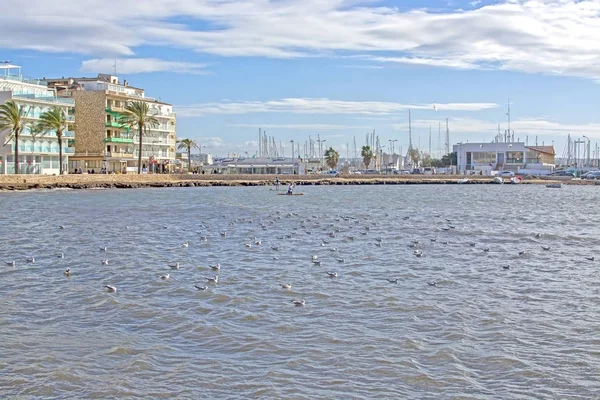 Can Pastilla Mallorca Spain Ноября 2018 Года Seagulls Bay Aquamarina — стоковое фото
