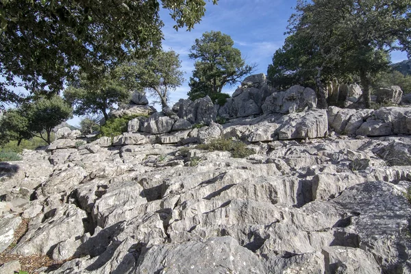 Landschaft Mit Ungewöhnlich Aussehenden Kalksteinfelsen Der Gegend Von Lluc Einem — Stockfoto