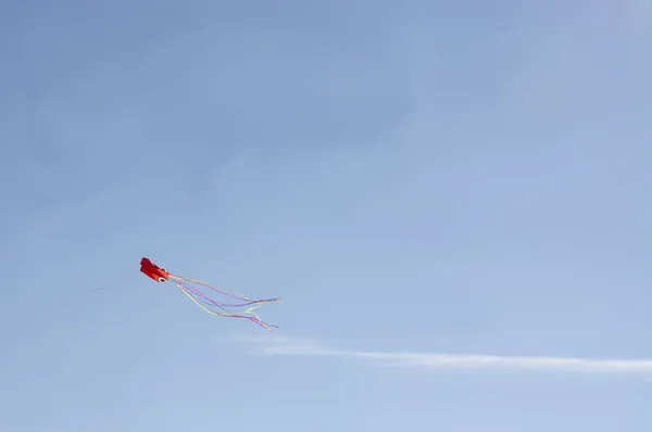 Cerf Volant Rouge Volant Haut Contre Ciel Bleu Majorque Espagne — Photo