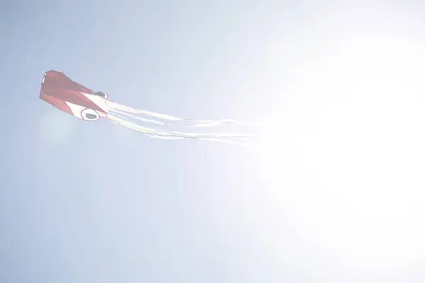 Aquilone Rosso Che Vola Alto Contro Cielo Blu Maiorca Spagna — Foto Stock