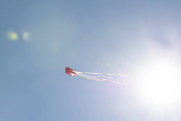 Cometa Roja Volando Alto Contra Cielo Azul Mallorca España — Foto de Stock