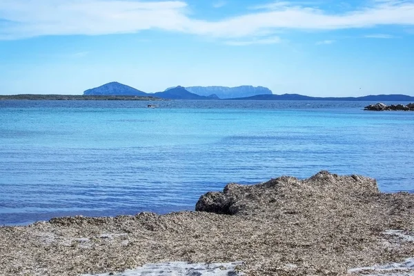 Green water and dry seagrass on a winter beach in Costa Smeralda — Stock Photo, Image