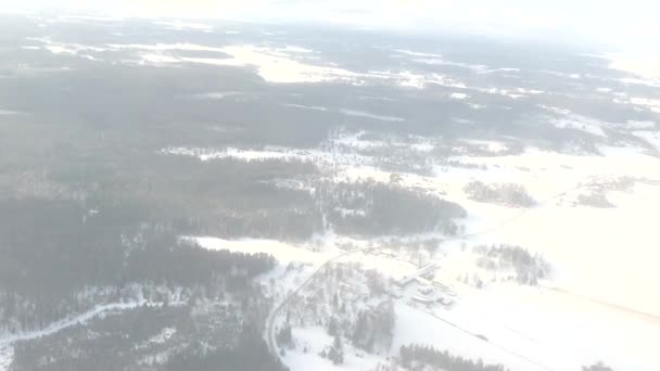 スウェーデン ストックホルム近郊の常緑樹と雪の冬の森の風景の航空写真 — ストック動画