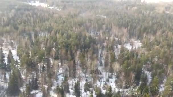 Вид Повітря Над Зимовим Лісом Пейзаж Вічнозеленими Деревами Снігом Біля — стокове відео