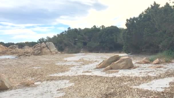 Pantai Pasir Musim Dingin Dengan Batu Granit Dan Camar Terbang — Stok Video