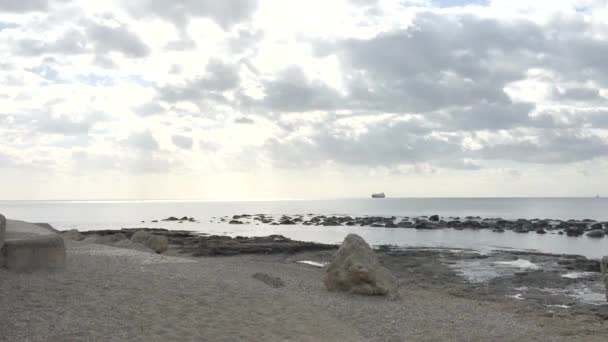 Zwei Vögel Fliegen Nach Rechts Über Sandstrand Und Küstenlandschaft Mit — Stockvideo