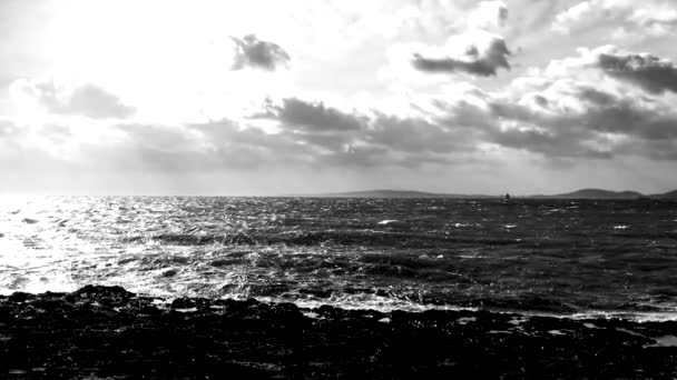 Pince Lunaire Noir Blanc Ralenti Des Vagues Écrasent Sur Les — Video